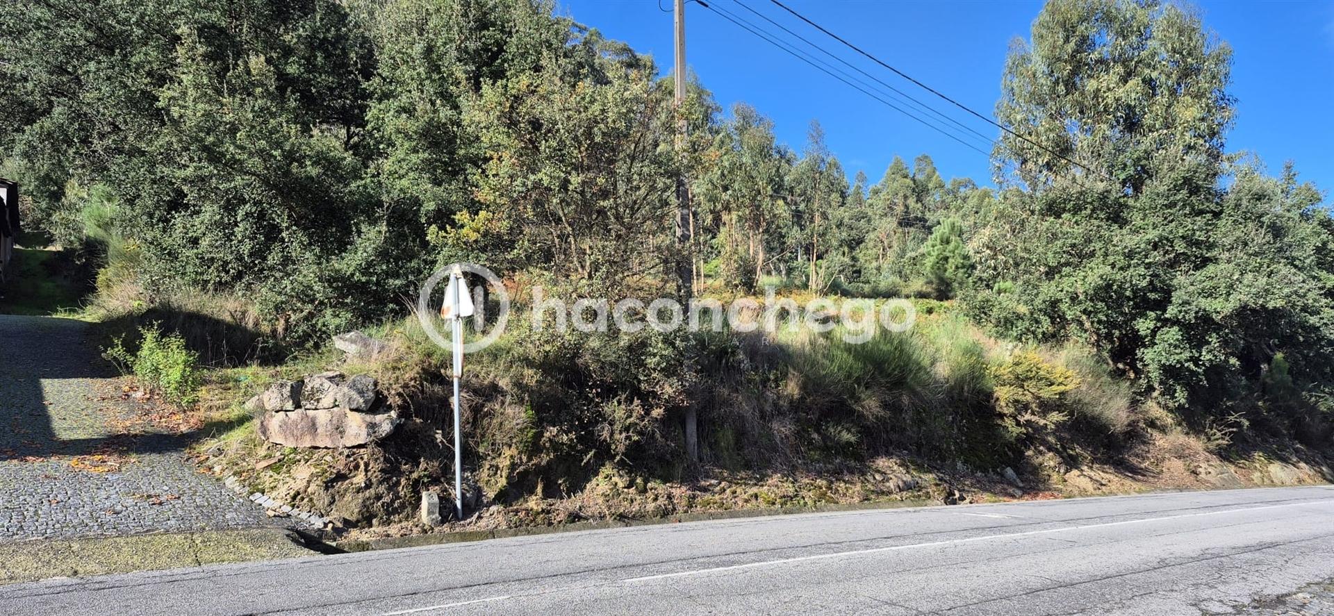 Terreno Urbano  Venda em Pereira,Barcelos