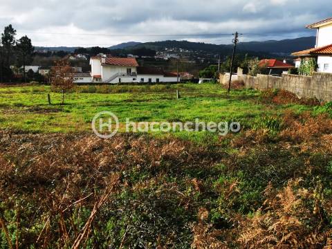 Terreno para construção em Tamel São Verissimo Barcelos