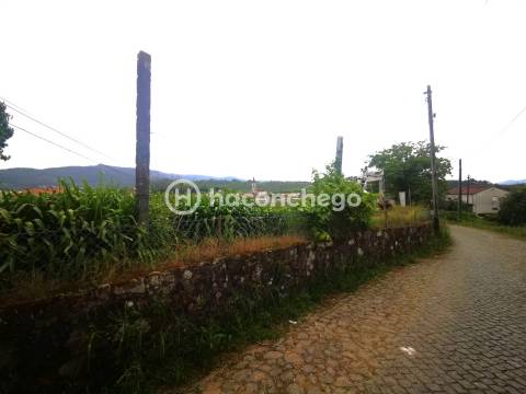 Apartamento T3 com garagem e logradouro Pousa Barcelos