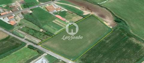 Terreno na freguesia de GINETES com projeto aprovado para Moradia 