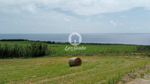 Terreno na freguesia de GINETES com projeto aprovado para Moradia 