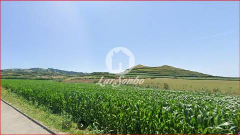 Terreno na freguesia de GINETES com projeto aprovado para Moradia 