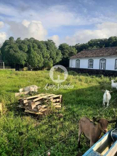 Terrenos | Urbano | Fontainha (PV)