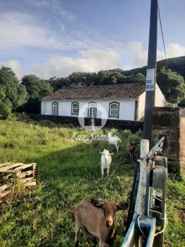 Terrenos | Urbano | Fontainha (PV)