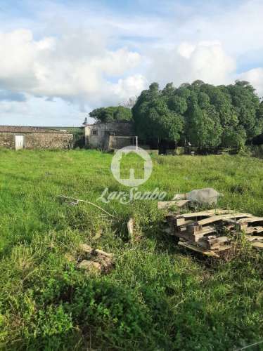 Terrenos | Urbano | Fontainha (PV)