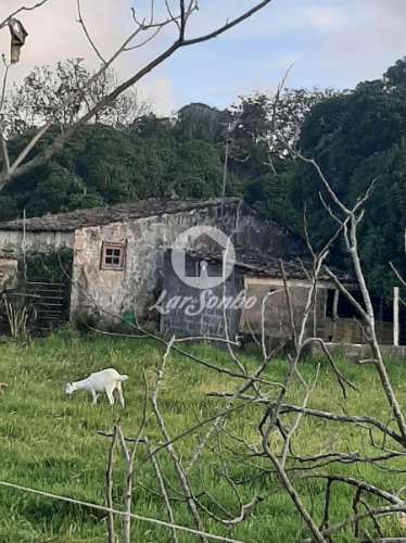 Terrenos | Urbano | Fontainha (PV)