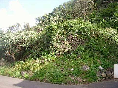 Terrenos | Urbano | Fontainha (PV)