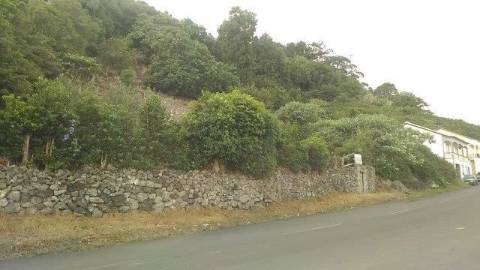 Terrenos | Urbano | Fontainha (PV)