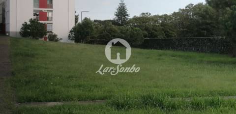 Lote Pico do Fogo Livramento