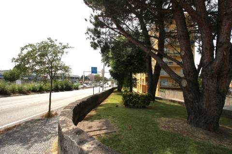 Invista nesta loja com rendimento