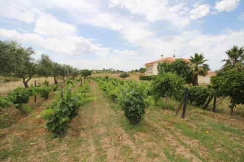 Agradável moradia em local super calmo