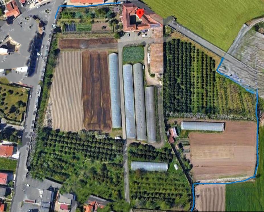 Quinta com casa para recuperar