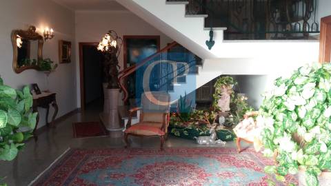 Quinta de luxo - Mirandela - Bragança