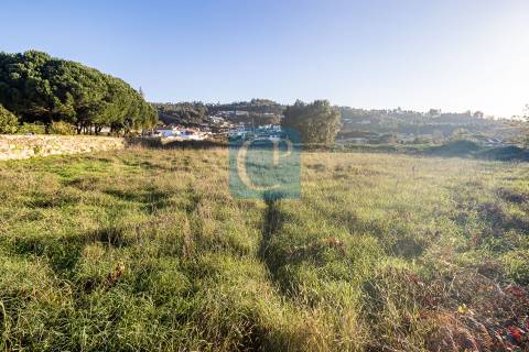 Terreno para construção em Reguenga