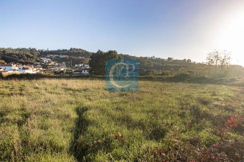 Terreno para construção em Reguenga