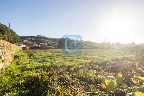 Terreno para construção em Reguenga