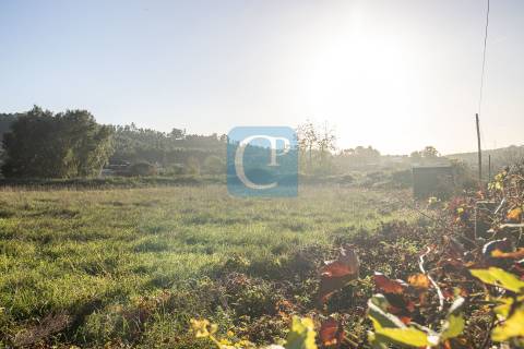 Terreno para construção em Reguenga