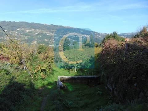 Propriedade em Cinfães do Douro para restauro, Viseu