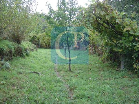 Propriedade em Cinfães do Douro para restauro, Viseu