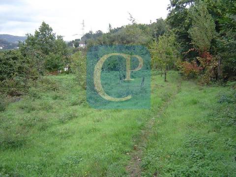 Propriedade em Cinfães do Douro para restauro, Viseu