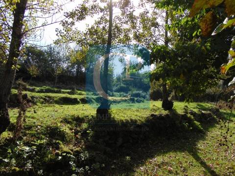 Propriedade em Cinfães do Douro para restauro, Viseu