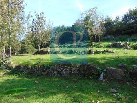 Propriedade em Cinfães do Douro para restauro, Viseu