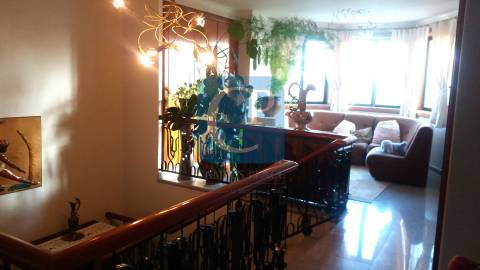 Quinta de luxo - Mirandela - Bragança