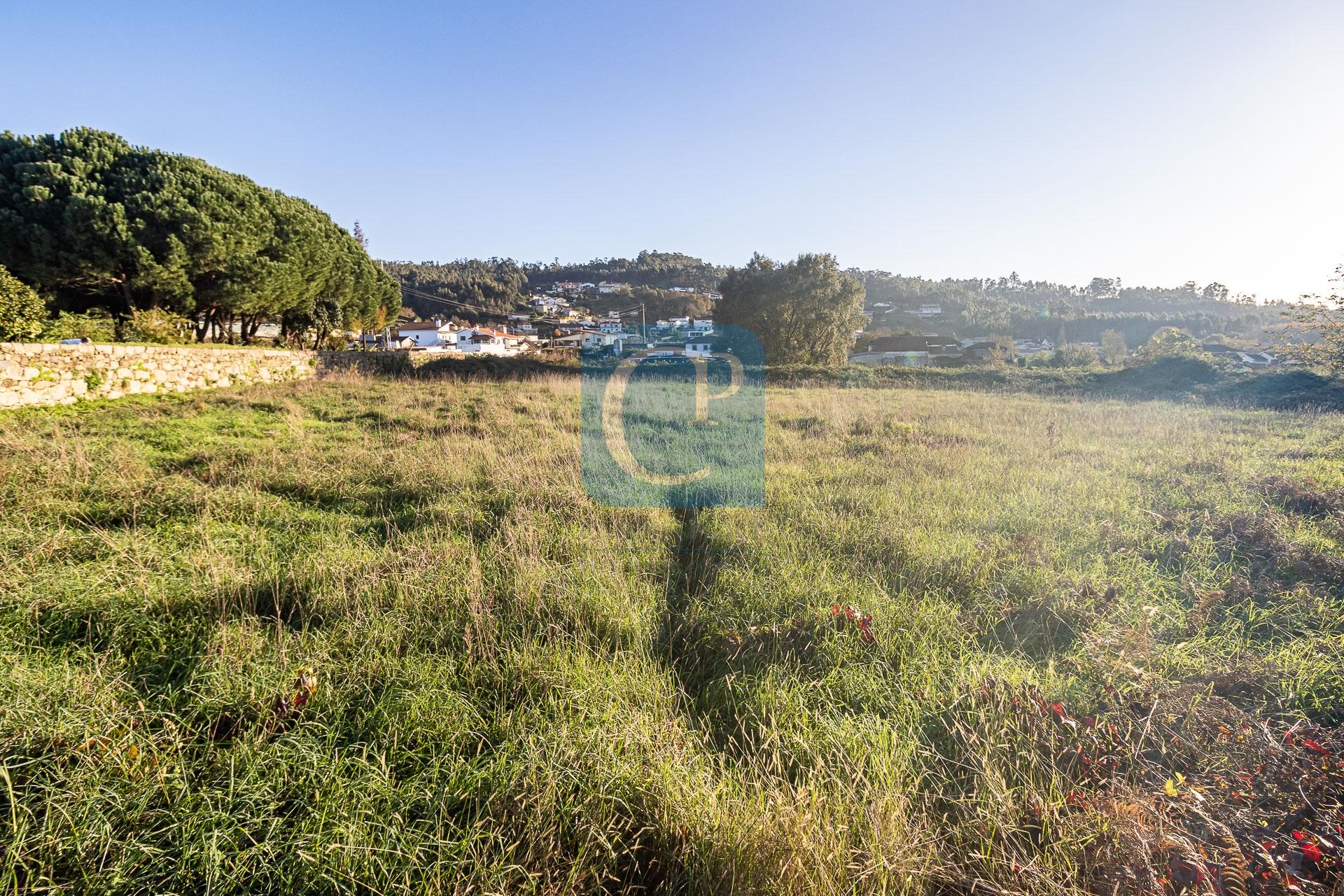 Terreno para construção em Reguenga