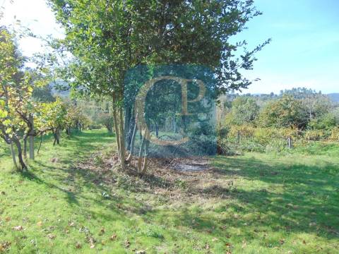 Propriedade em Cinfães do Douro para restauro, Viseu