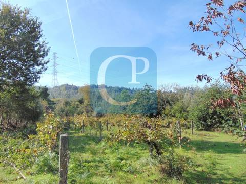 Propriedade em Cinfães do Douro para restauro, Viseu