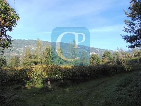 Propriedade em Cinfães do Douro para restauro, Viseu