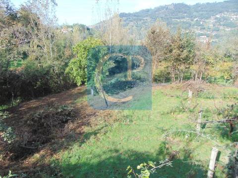 Propriedade em Cinfães do Douro para restauro, Viseu