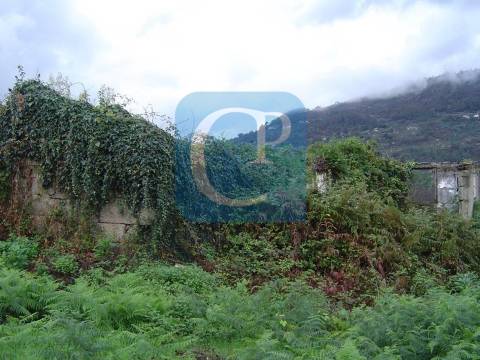 Propriedade em Cinfães do Douro para restauro, Viseu