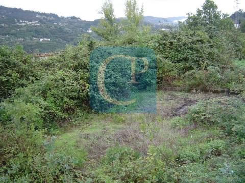 Propriedade em Cinfães do Douro para restauro, Viseu