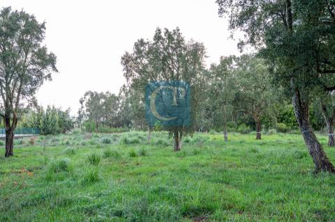 Terreno Urbano para construção em Canidelo, Vila Nova de Gaia