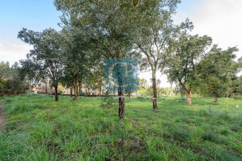 Terreno Urbano para construção em Canidelo, Vila Nova de Gaia