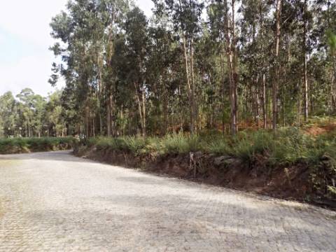 Terreno com mais de 15000 m2