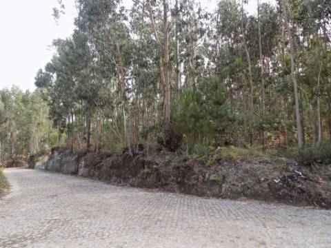 Terreno com mais de 15000 m2