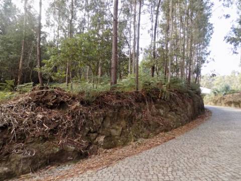 Terreno com mais de 15000 m2