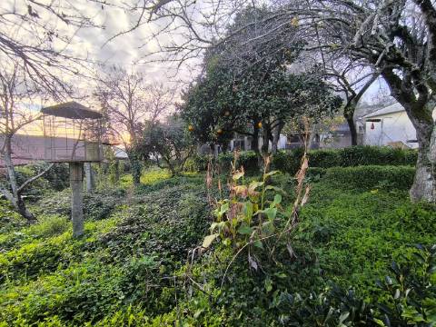 Quintinha para Restauro em Beiriz na Póvoa de Varzim