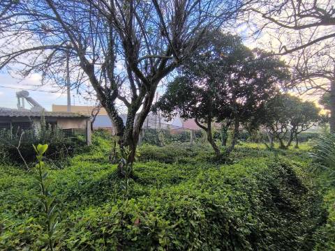 Quintinha para Restauro em Beiriz na Póvoa de Varzim