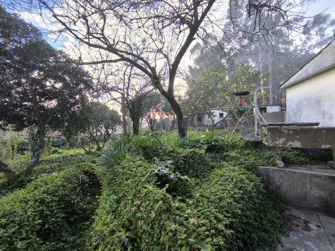 Quintinha para Restauro em Beiriz na Póvoa de Varzim