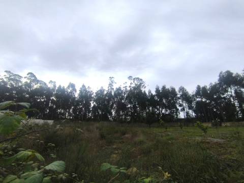 Terreno com 722m2 em Beiriz na Póvoa de Varzim