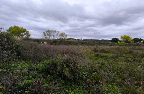 Lote para construção c/ 1304 m2 em Beiriz na Póvoa de Varzim
