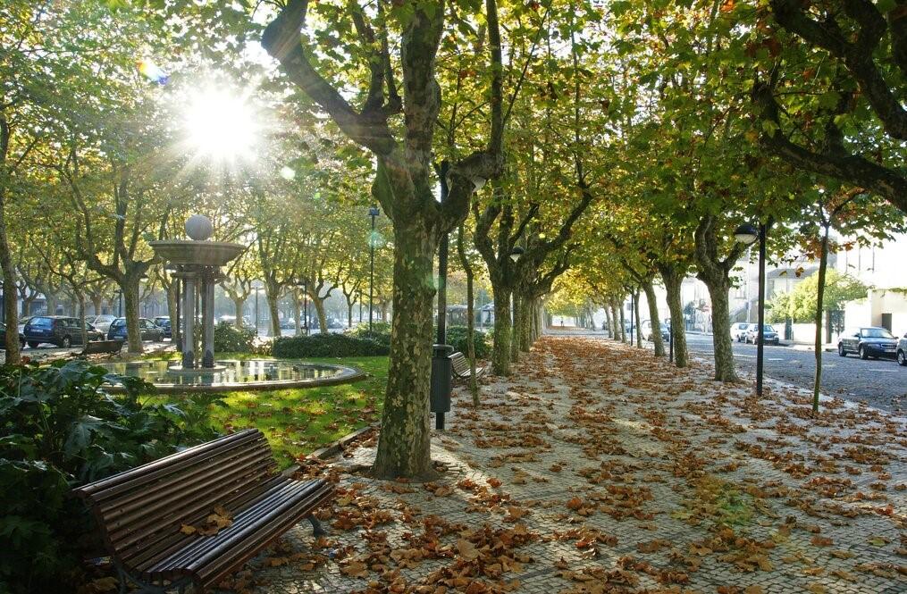 T3 para Arrendamento no Centro de Vila do Conde