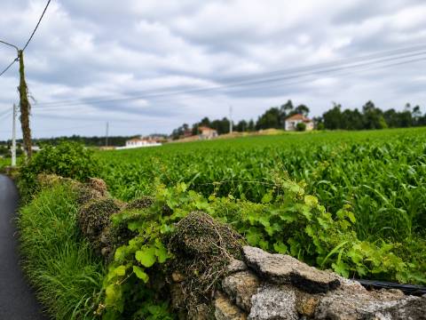 Fantástico Lote com 4.765 m² em Parada Vila do Conde