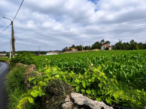 Fantástico Lote com 4.835 m² em Parada Vila do Conde