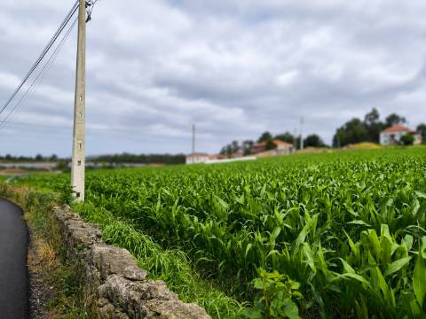 Fantástico Lote com 4.835 m² em Parada Vila do Conde