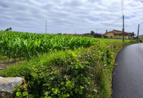 Fantástico Lote com 4.835 m² em Parada Vila do Conde