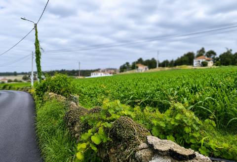 Fantástico Lote com 4.835 m² em Parada Vila do Conde